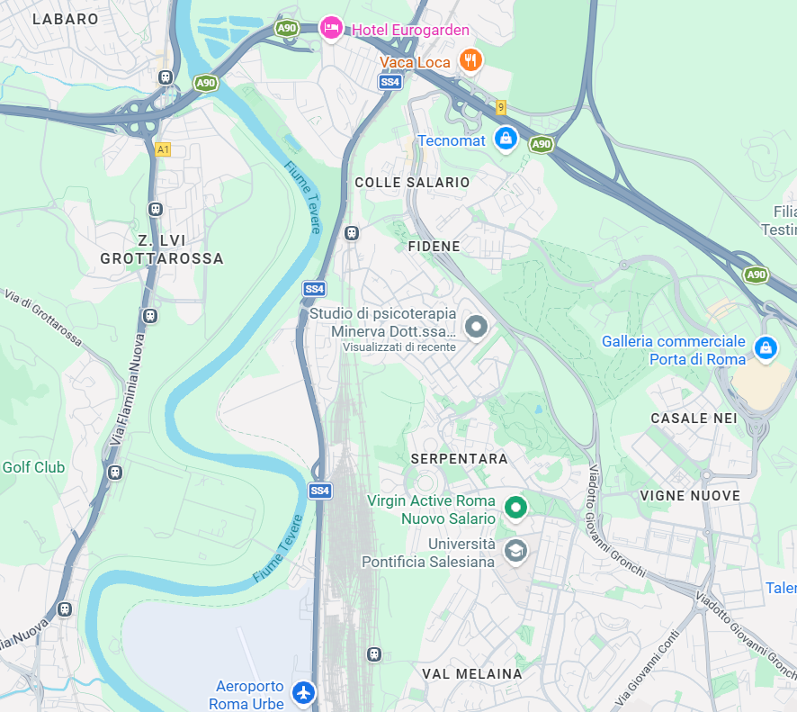 Mappa Google Maps zona Fidene Roma